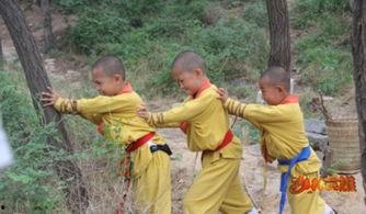 少林英雄资料,传奇武僧的传奇人生