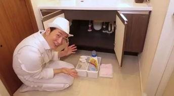 搞笑艺人小岛,揭秘搞笑艺人的欢乐人生